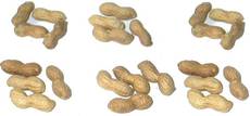 Erdnüsse-6x4.jpg